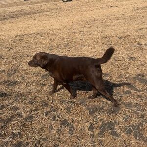 Meet your Posher, Jen